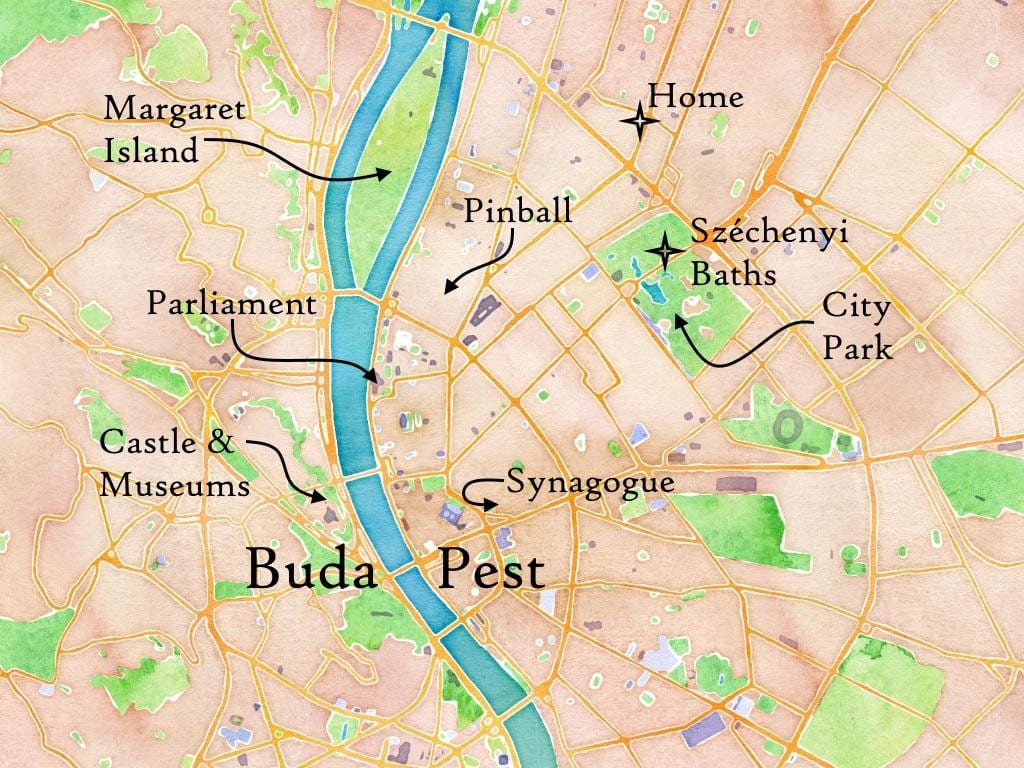 বুদা বা কীটপতঙ্গ মানচিত্র
